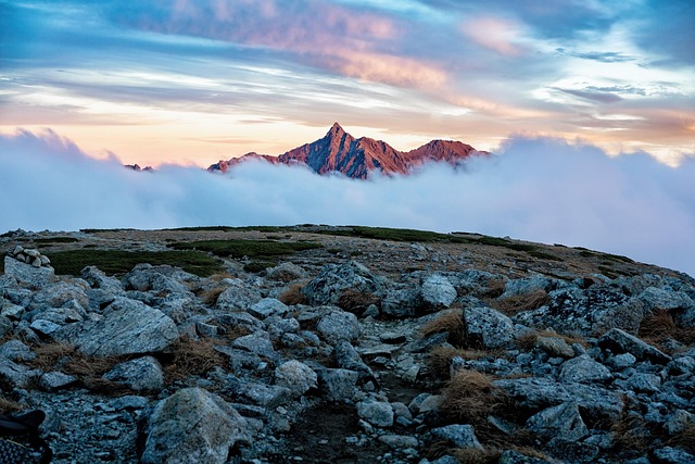 Fra cookies til cloud: Fremtidens serverside tracking forklaret